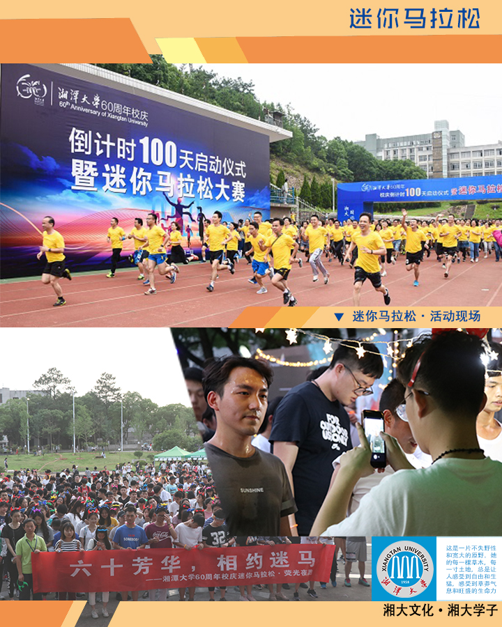 4.迷馬2.0.jpg